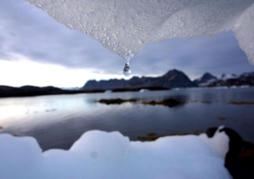 The MIT Joint Program on the Science and Policy of Global Change engaged dozens of decision-makers in the financial sector and industry in a two-hour Zoom discussion on climate-related financial risk.