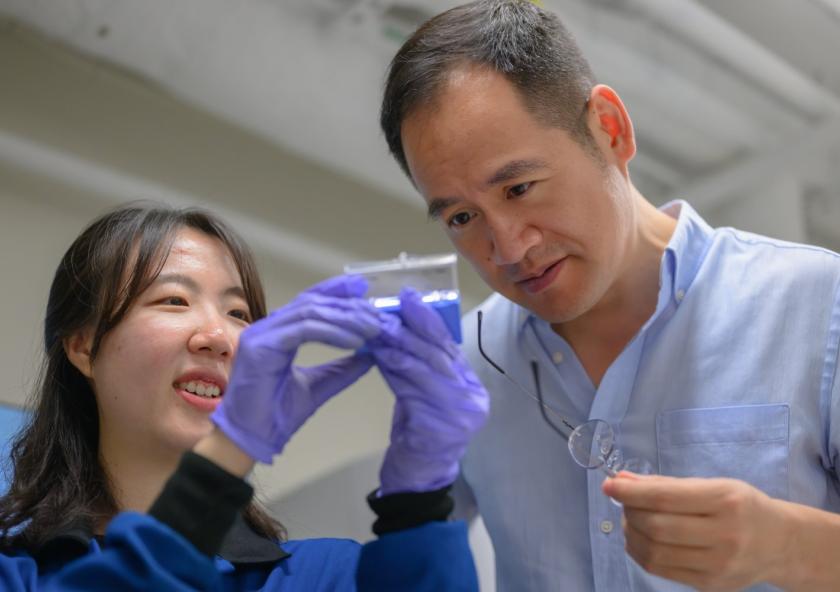 Based on theoretical and experimental studies, MIT engineers have shown that adding nanoparticles of certain ceramics to the metal walls of the vessel containing the reacting plasma inside a nuclear fusion reactor can protect the metal from damage, significantly extending its lifetime. Professor Ju Li (right) and postdoc So Yeon Kim (left) examine samples of the composite they have fabricated for their demonstrations.
