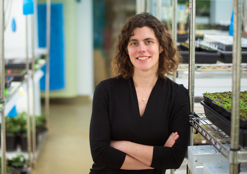
              Mary Gehring, associate professor of biology and a member of the Whitehead Institute for Biomedical Research
              Photo courtesy of J-WAFS
      