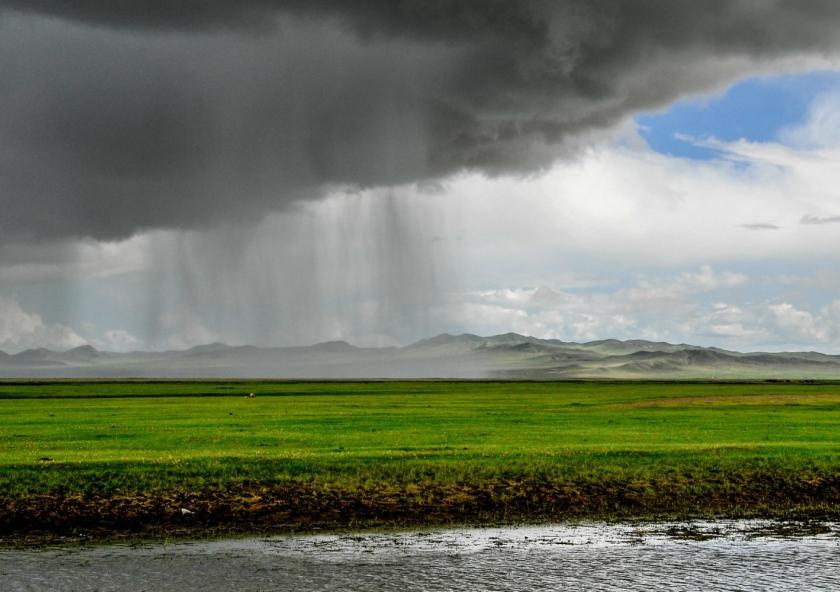 
              In the grassland steppes of Inner Asia, climate has a major impact on plant growth. Pastoral economies, which depend on grazing livestock like horse and sheep, are affected in turn.
              Photo: Bernd Thaller/CC BY-NC 2.0
      