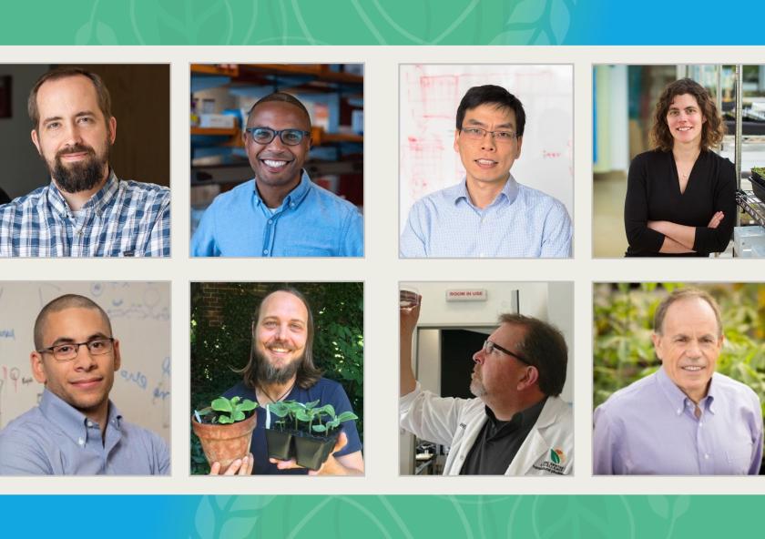 
              The 2023 J-WAFS Grand Challenge research team: (top row, left to right) Matt Shoulders, Bryan Bryson, Bin Zhang, and Mary Gehring; (bottom row, left to right) Ahmed Badran, Robert Wilson, Spencer Whitney, and Stephen Long
           ...