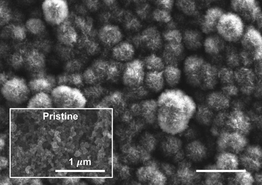 This scanning electron microscope image shows the carbon cathode of a carbon-dioxide-based battery made by MIT researchers, after the battery was discharged. It shows the buildup of carbon compounds on the surface, composed of carbonate materia... This scanning electron microscope image shows the carbon cathode of a carbon-dioxide-based battery made by MIT researchers, after the battery was discharged. It shows the buildup of carbon compounds on the surface, composed of carbonate materia...