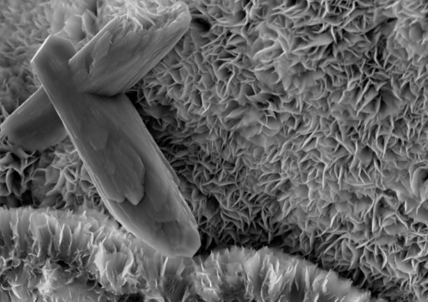 MIT geologists have found that tectonic activity gives rise to smectite, a type of clay that can sequester a surprising amount of organic carbon within its microscopic folds (shown here), over millions of years.
Credit...
MIT geologists have found that tectonic activity gives rise to smectite, a type of clay that can sequester a surprising amount of organic carbon within its microscopic folds (shown here), over millions of years.
Credit...