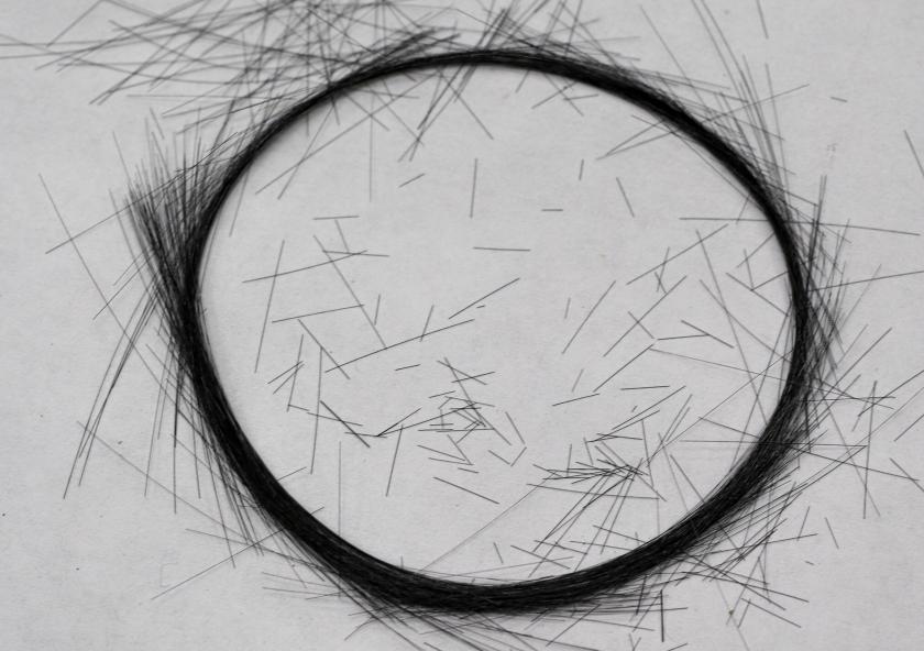 A circle of carbon fibers which have a diameter of about 10 micrometers.
Photo: Nicola Ferralis
A circle of carbon fibers which have a diameter of about 10 micrometers.
Photo: Nicola Ferralis