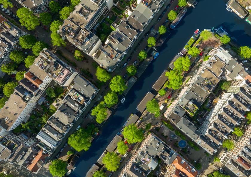 Research reveals a strong disparity in the amount of heat-mitigating tree cover within nine cities across the globe, with wealthy neighborhoods benefitting from shade the most. Amsterdam, pictured here, has a distinct pattern of less shade in lower-income areas.