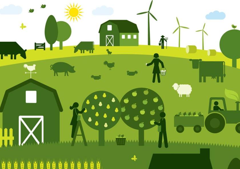 At the second annual Rabobank-MIT Food and Agribusiness Innovation Prize competition, seven finalist startups and teams from MIT and other universities pitched their business ideas to a panel of judges, for a chance to win prizes totaling $25,000...