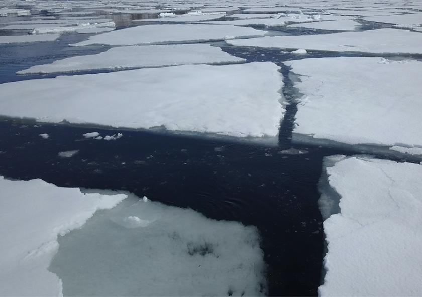 
              The prevailing theory has been that sea ice can act as a lid to keep carbon in the ocean from escaping back to the atmosphere. However, researchers at MIT have now identified a counteracting effect that suggests Antarctic sea ice ma...