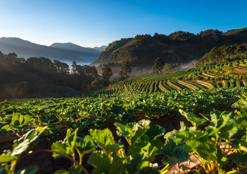 While climate change may boost crop yields in some “breadbasket” regions, extreme heat and drought linked to a changing climate are likely to increase the frequency of major crop failures. Water stress is expected to increase in most regions du...