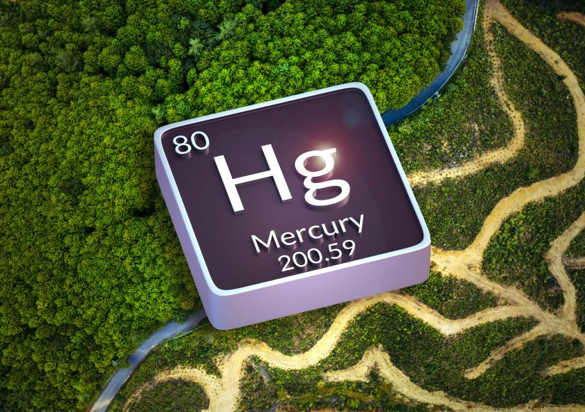 
              Researchers studied the impact of deforestation on the global mercury cycle and found that deforestation accounts for about 10 percent of global human-made mercury emissions. 
              Image: MIT News; iStock
      