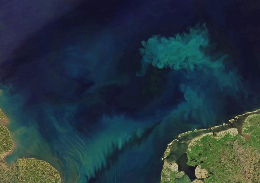 To track the changes in ocean color, scientists analyzed measurements of ocean color taken by the Moderate Resolution Imaging Spectroradiometer (MODIS) aboard the Aqua satellite, which has been monitoring ocean color for 21 years.
...
To track the changes in ocean color, scientists analyzed measurements of ocean color taken by the Moderate Resolution Imaging Spectroradiometer (MODIS) aboard the Aqua satellite, which has been monitoring ocean color for 21 years.
...