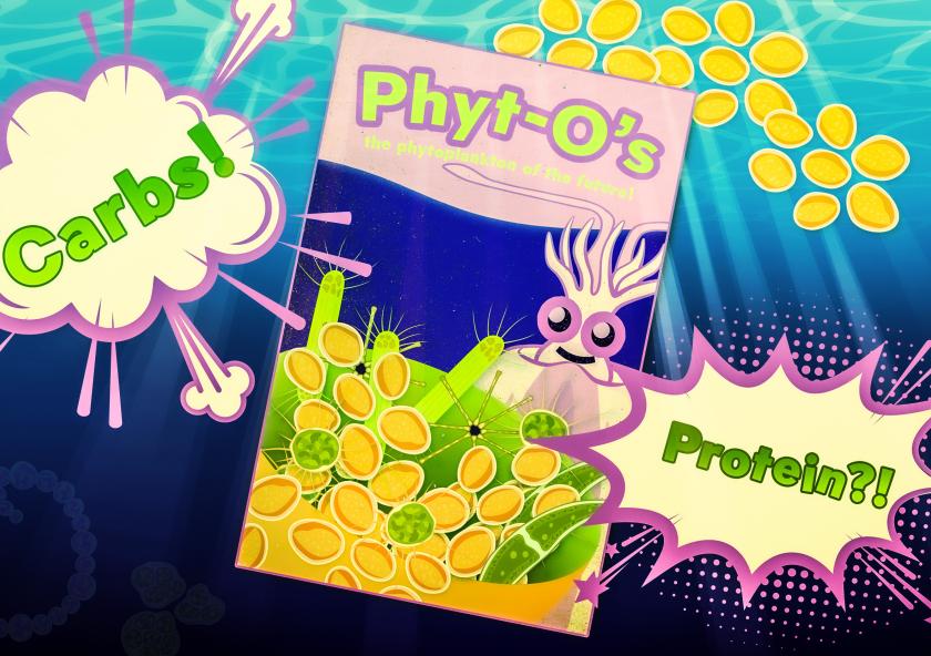 As sea surface temperatures rise over the next century, phytoplankton in polar regions will adapt to be less rich in proteins, heavier in carbohydrates, and lower in nutrients overall. “We’re moving in the poles toward a sort of fast-food ocean,” says MIT postdoc Shlomit Sharoni.