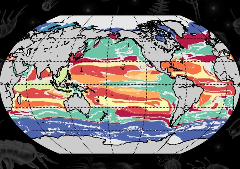 A machine-learning technique developed at MIT combs through global ocean data to find commonalities between marine locations, based on interactions between phytoplankton species. Using this approach, researchers have determined that the ocean can b... A machine-learning technique developed at MIT combs through global ocean data to find commonalities between marine locations, based on interactions between phytoplankton species. Using this approach, researchers have determined that the ocean can b...