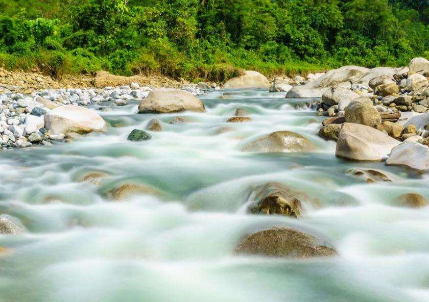 A new study finds clay minerals, such as those at the bottom of rivers and oceans, can bind with bits of decomposing plants and phytoplankton in a natural carbon-storing process.