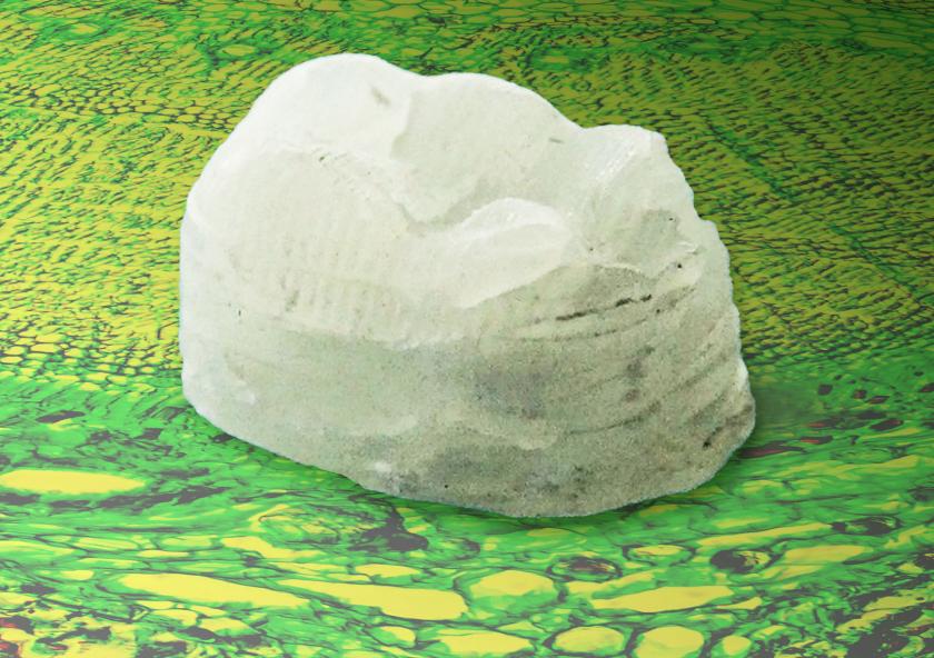 A new woody composite, engineered by a team at MIT, is tough as bone and hard as aluminum, and it could pave way for naturally-derived plastics. This image shows a tooth printed by the team resting on a background of wood cells.
...
A new woody composite, engineered by a team at MIT, is tough as bone and hard as aluminum, and it could pave way for naturally-derived plastics. This image shows a tooth printed by the team resting on a background of wood cells.
...