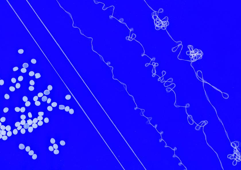 In the new process, resin pellets are melted and then extruded to make stretchy, hair-thin fibers that can be recycled. “You just melt it in a barrel with a heater, and then you extrude and spin it into fibers,” SeongHyeon Kim says. “It’s like a spaghetti machine.”