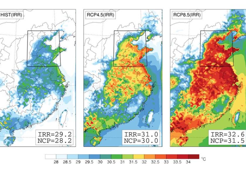 “This spot is just going to be the hottest spot for deadly heat waves in the future, especially under climate change,” says Professor Elfatih Eltahir.