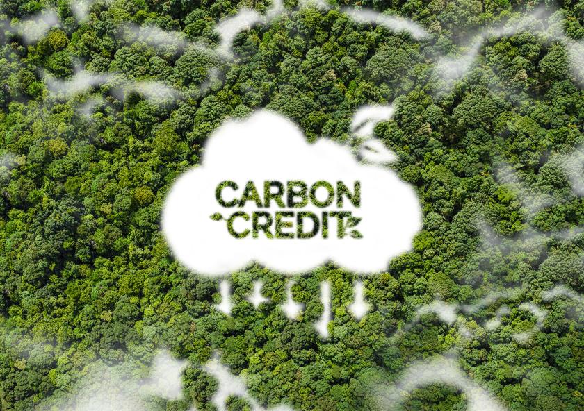 Clear, enforceable standards may make the difference in how effective carbon trading systems are in reducing global emissions.
Credit: iStock
Clear, enforceable standards may make the difference in how effective carbon trading systems are in reducing global emissions.
Credit: iStock