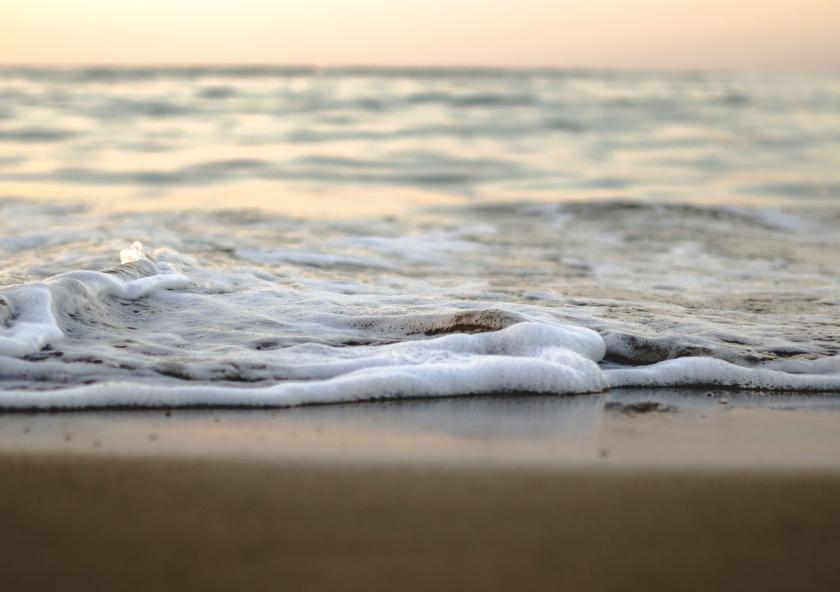 Climate-driven sea level rise is making freshwater ecosystems saltier, and MIT researchers have uncovered how that shift could reshape the microbial communities that sustain rivers and estuaries.
