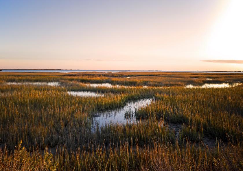 A new study suggests how to fine-tune policy so that wetlands conservation and economic growth both occur, while limiting flood damage around development.