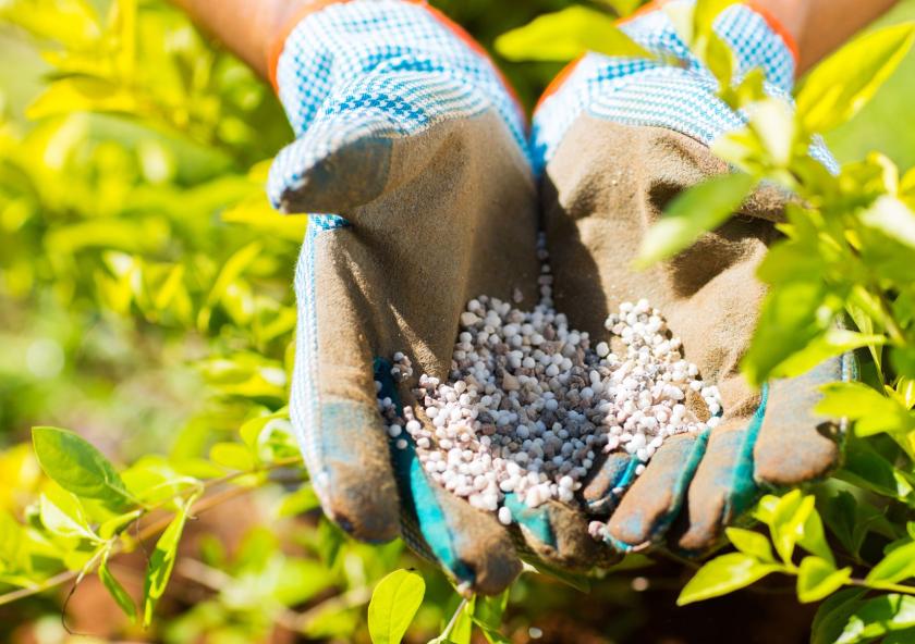  For tropical growing regions in Brazil and some countries in Africa, differing soil and rock compositions make for a poor match for the fertilizers that are currently on the market. J-WAFS-funded MIT researchers seek to meet this challenge with ...