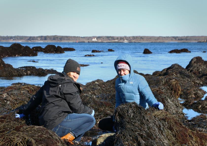 Valerie Muldoon (left), a third-year mechanical engineering student, and biological engineering student Jenna Melanson explore a coastal ecosystem during a field trip to Odiorne Point State Park in New Hampshire. Image courtesy of MIT Sea Grant Valerie Muldoon (left), a third-year mechanical engineering student, and biological engineering student Jenna Melanson explore a coastal ecosystem during a field trip to Odiorne Point State Park in New Hampshire. Image courtesy of MIT Sea Grant
