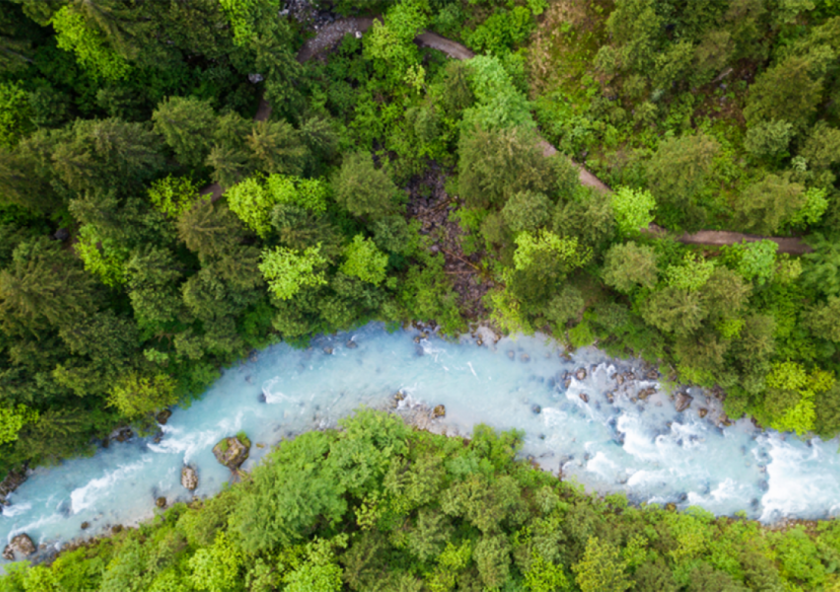 
              Reforestation and afforestation are “natural climate solutions” that can help cut carbon, restore ecosystems, create jobs, and provide other environmental and social benefits. A new study explores how to make forestry-based NC...