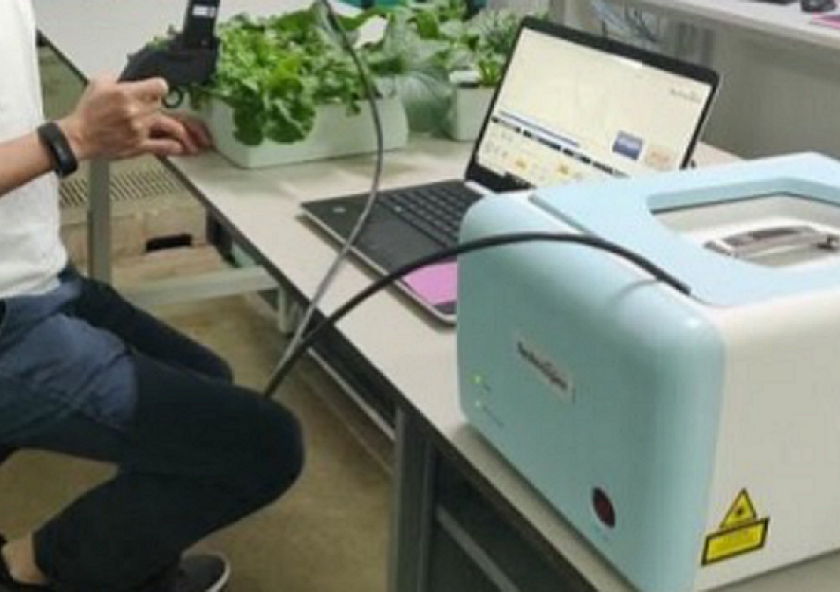 A portable leaf-clip Raman sensor in use at Temasek Life Sciences Laboratory detects nutrient stress in leafy vegetables.
A portable leaf-clip Raman sensor in use at Temasek Life Sciences Laboratory detects nutrient stress in leafy vegetables.