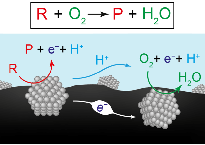 
              This figure presents two views of the chemical reactions for producing renewable fuels and chemicals. The top equation represents the conversion of the reactant (R) plus oxygen (O2) to a product (P) plus water (H2O). The diagram belo...