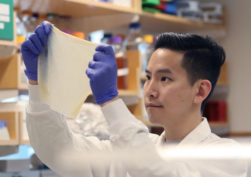 Biological Engineering graduate student Zijay Tang demonstrates the durability of Syn-SCOBY, a kombucha-inspired living membrane.
Photo: Zijay Tang
Biological Engineering graduate student Zijay Tang demonstrates the durability of Syn-SCOBY, a kombucha-inspired living membrane.
Photo: Zijay Tang