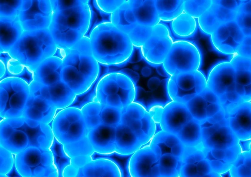 MIT research finds the emergence of cooperative cell clusters depends on cells encountering each other and aggregating on the surface of polysaccharide particles.