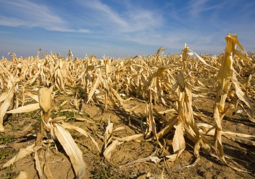 If the world is to be free of hunger and malnutrition in accordance with the 2030 UN Sustainable Development Goals, actions to strengthen the resilience and adaptive capacity of food systems must be rapidly implemented in order to adapt to climat...