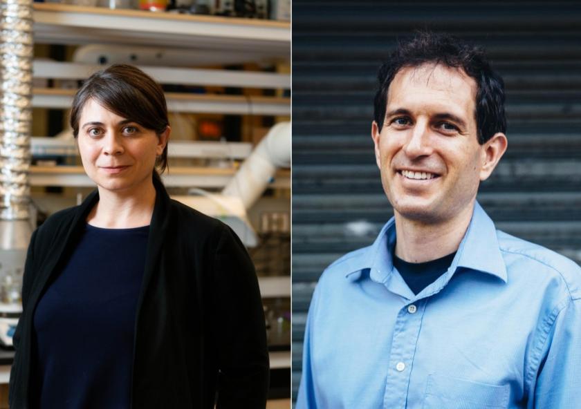 
              Desiree Plata (left) focuses her research on making industrial processes more environmentally sustainable for the health and betterment of society. Justin Steil (right) examines the intersection of urban policy with property, lan...