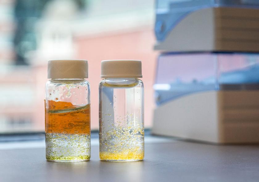 
              Hydrogels developed at MIT can be used to remove micropollutants from water. 
              Photo: Sebastian Gonzalez Quintero/MassArt
      