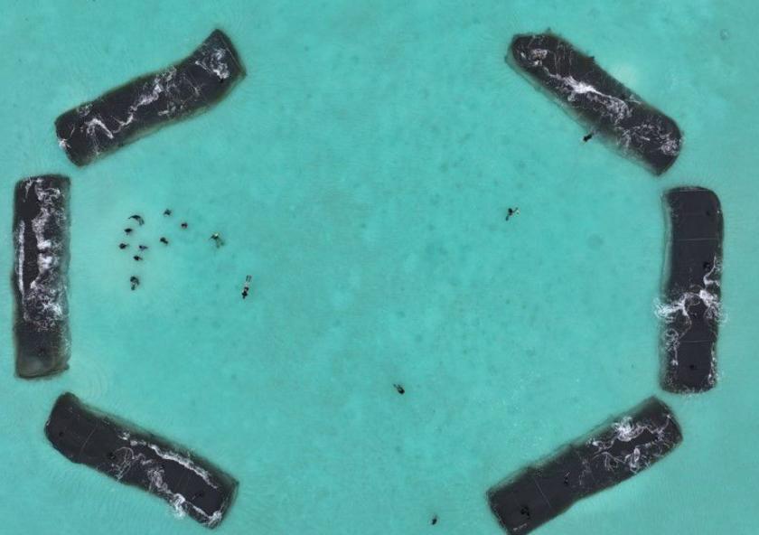 Underwater structures created by MIT’s Self-Assembly Lab and Invena, an organization based out of the Maldives. Underwater structures created by MIT’s Self-Assembly Lab and Invena, an organization based out of the Maldives.