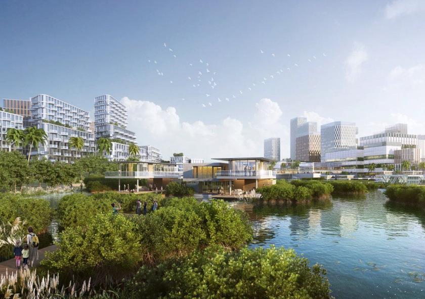 Mangroves will protect the shoreline from waves, retain soil, support biodiversity, and help clean the water. Image: Tekuma Frenchman