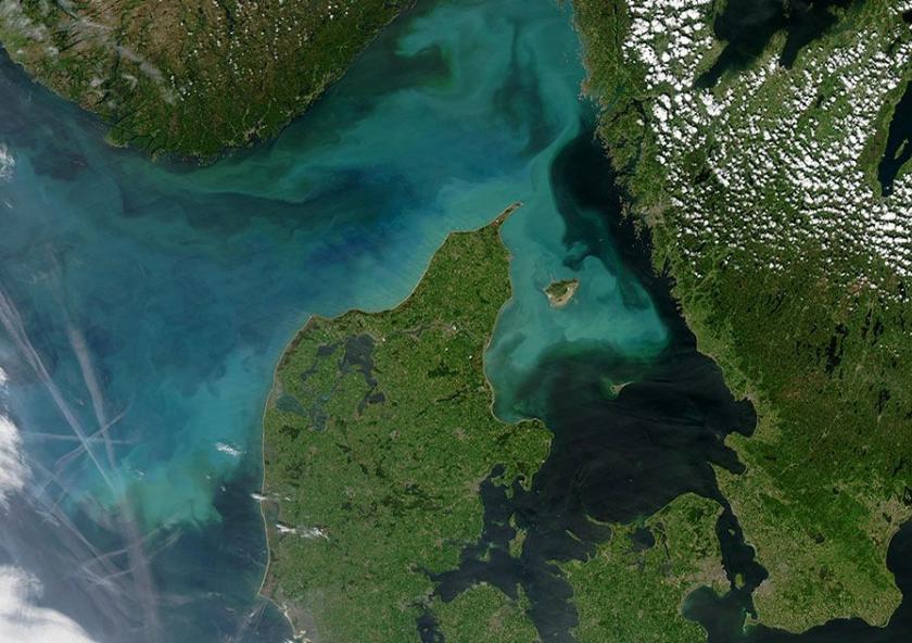 Phytoplankton bloom off Denmark in 2004 Image: NASA