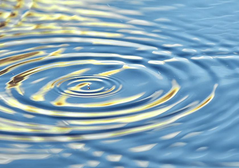 
              Through the Council on the Uncertain Human Future, MIT community members make space to examine — and even to transform — their questions and concerns about climate change. “These conversations open an opportunity to create a ne...