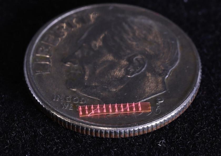 
              Silk microneedle array on a U.S. dime
              Image courtesy of SMART.
      
