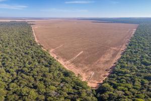 
              Economists Ben Olken of MIT and Clare Balboni are authors of a new review paper examining the “revolution” in the study of deforestation brought about by satellites, and analyzing which kinds of policies might limi...