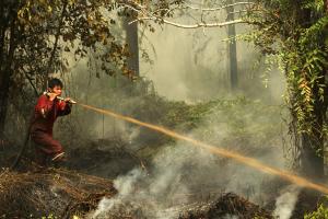 
              Wildfires in Southeast Asia significantly affect the moods of people in many neighboring countries, with people becoming more upset if fires originate outside their own country, according to a new study analyzing social medi...