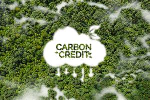 
              Clear, enforceable standards may make the difference in how effective carbon trading systems are in reducing global emissions.
              Credit: iStock
      