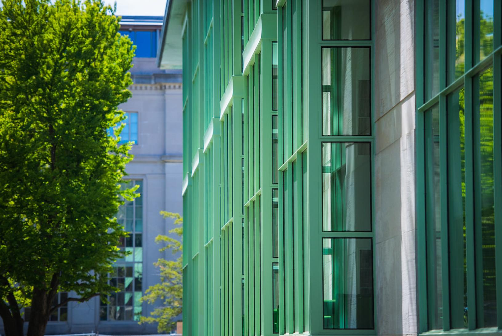 green framed window of Hayden Library