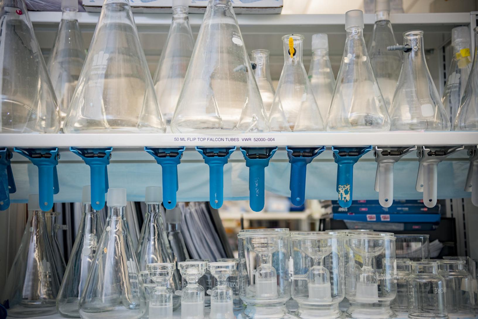 glass beakers on a shelf
