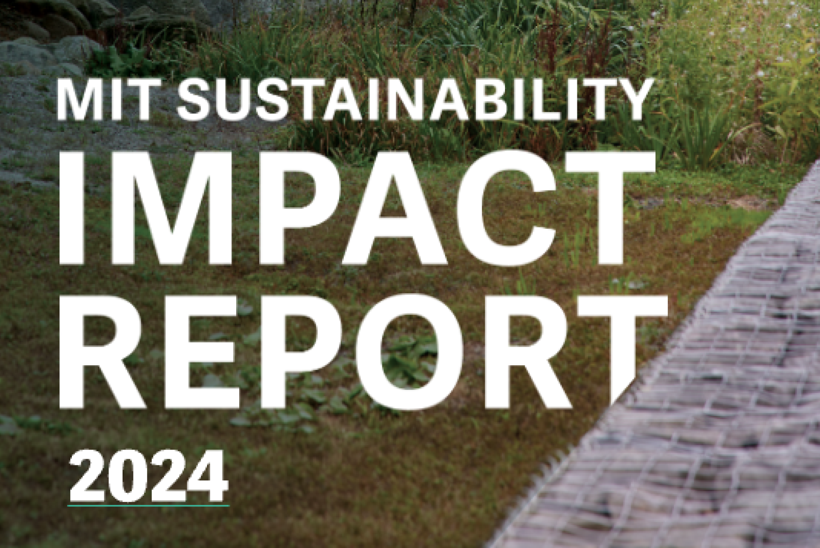 cover image 2024 impact report