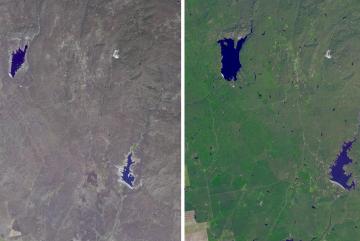 
              The effects of California’s severe multiyear drought are seen in this pair of images acquired by NASA Terra spacecraft of the area northeast of Madera, in the Sierra Nevada Mountains foothills between Yosemite National Park and th...