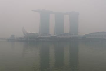 Researchers have found that burning peatlands in Indonesia are responsible for much of the haze enveloping Singapore. 