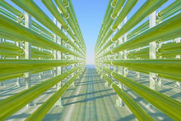 
              MIT Climate Grand Challenges finalists are working with promising technologies, materials, and methods that could help unlock a low-carbon future in sectors where emissions are hardest to cut.
              Image: stock photo
      