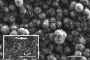 This scanning electron microscope image shows the carbon cathode of a carbon-dioxide-based battery made by MIT researchers, after the battery was discharged. It shows the buildup of carbon compounds on the surface, composed of carbonate materia...