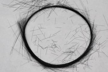 
              A circle of carbon fibers which have a diameter of about 10 micrometers.
              Photo: Nicola Ferralis
      
