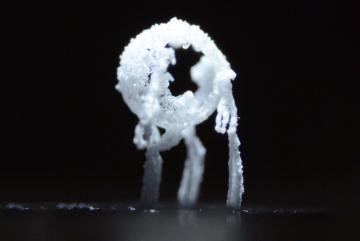 
              When the researchers began studying the way salts crystallize on certain surfaces, they found that the process repeatedly produced predictable multi-legged shapes. The researchers dubbed them collectively as “crystal critters” i...